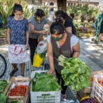 “Tomatazo”: La iniciativa de la UTT con precios accesibles de alimentos “enfrentar la especulación”