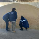 Evasión rural: la AFIP detectó más de 2900 toneladas de granos sin declarar