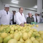 Manzur apuesta a que la Argentina logre consolidarse como líder mundial en el mercado del limón y sus derivados