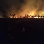 Hay incendios en el norte bonaerense y hay ciudades tapadas de humo