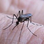 Ya son más de 13 mil casos confirmados de dengue en la Provincia