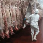 Luego de 13 años, se vuelve a exportar carne por el puerto de Bahía Blanca