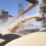 Agro evasión: la AFIP impuso un ajuste de 3.000 millones de pesos a una empresa agroexportadora que subfacturó exportaciones
