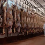El Gobierno frenó la exportación de carne