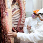 El Gobierno autorizó la exportación de los cortes populares de la carne