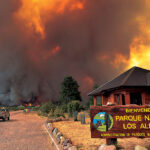 Incendio en el Parque Los Alerces: más de 500 hectáreas arrasadas por el fuego