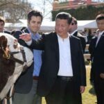 La diplomacia de Milei: China anunció nuevos proveedores de carne y la medida afecta a Argentina