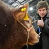 Trump habilitó cuota de 300.000 toneladas de carne sin aranceles y dejó afuera a Argentina