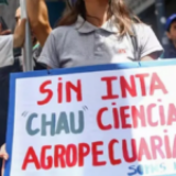 Sigue la entrega: el gobierno pone en venta 50 mil hectáreas del INTA